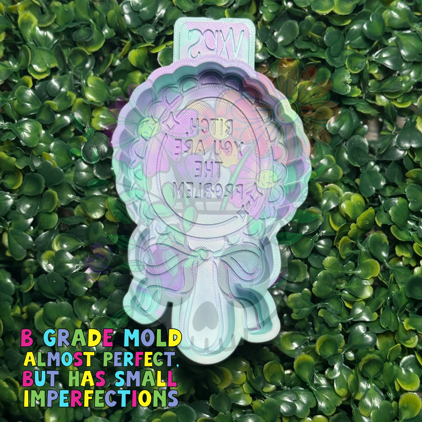 Bitch, You Are the Problem - B Grade