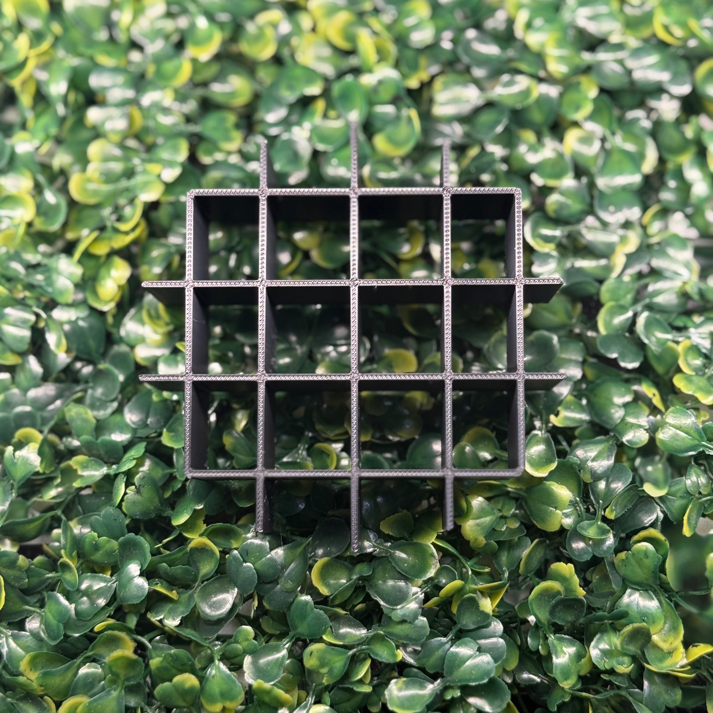 π€ Checkered Freshie Grid