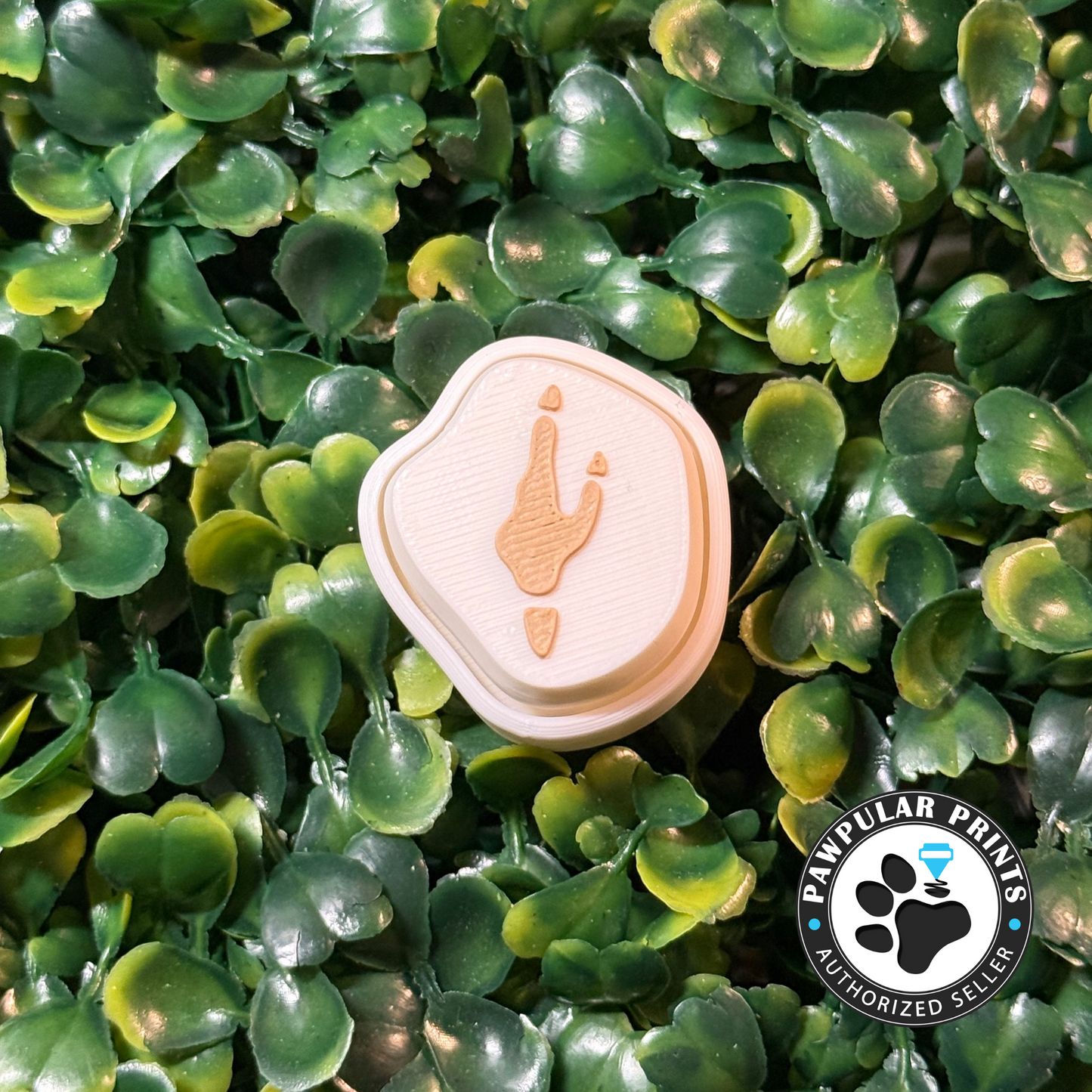 Dinosaur Fossil Velociraptor Fidget Clicker   - Wholesale (