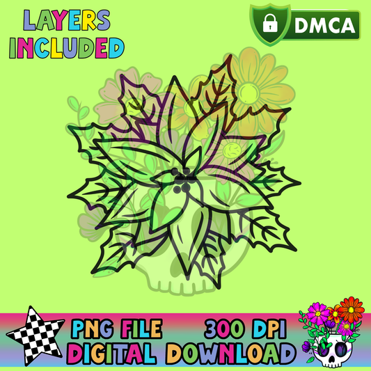 Pointsettia - PNG