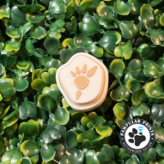 Dinosaur Fossil Stegosaurus Fidget Clicker   - Wholesale