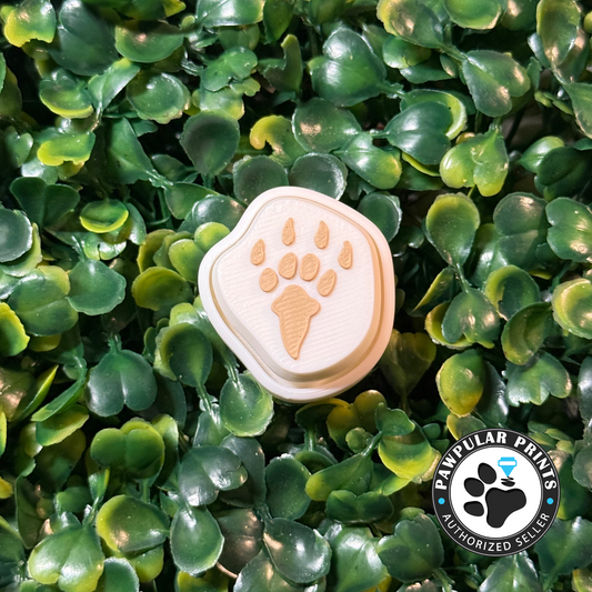 Dinosaur Fossil Triceratops Fidget Clicker   - Wholesale